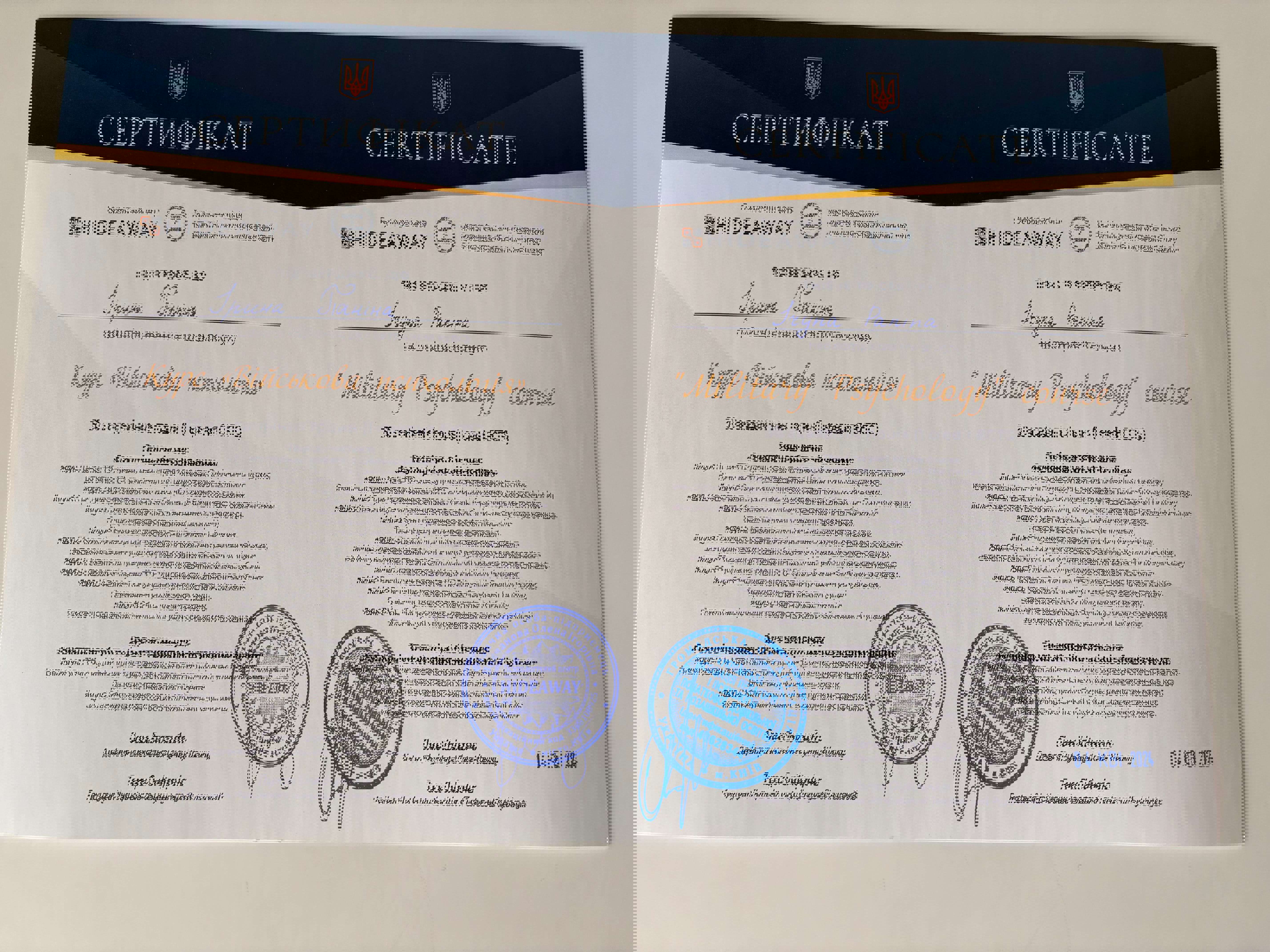 Сертифікат 5 Ірина Па...