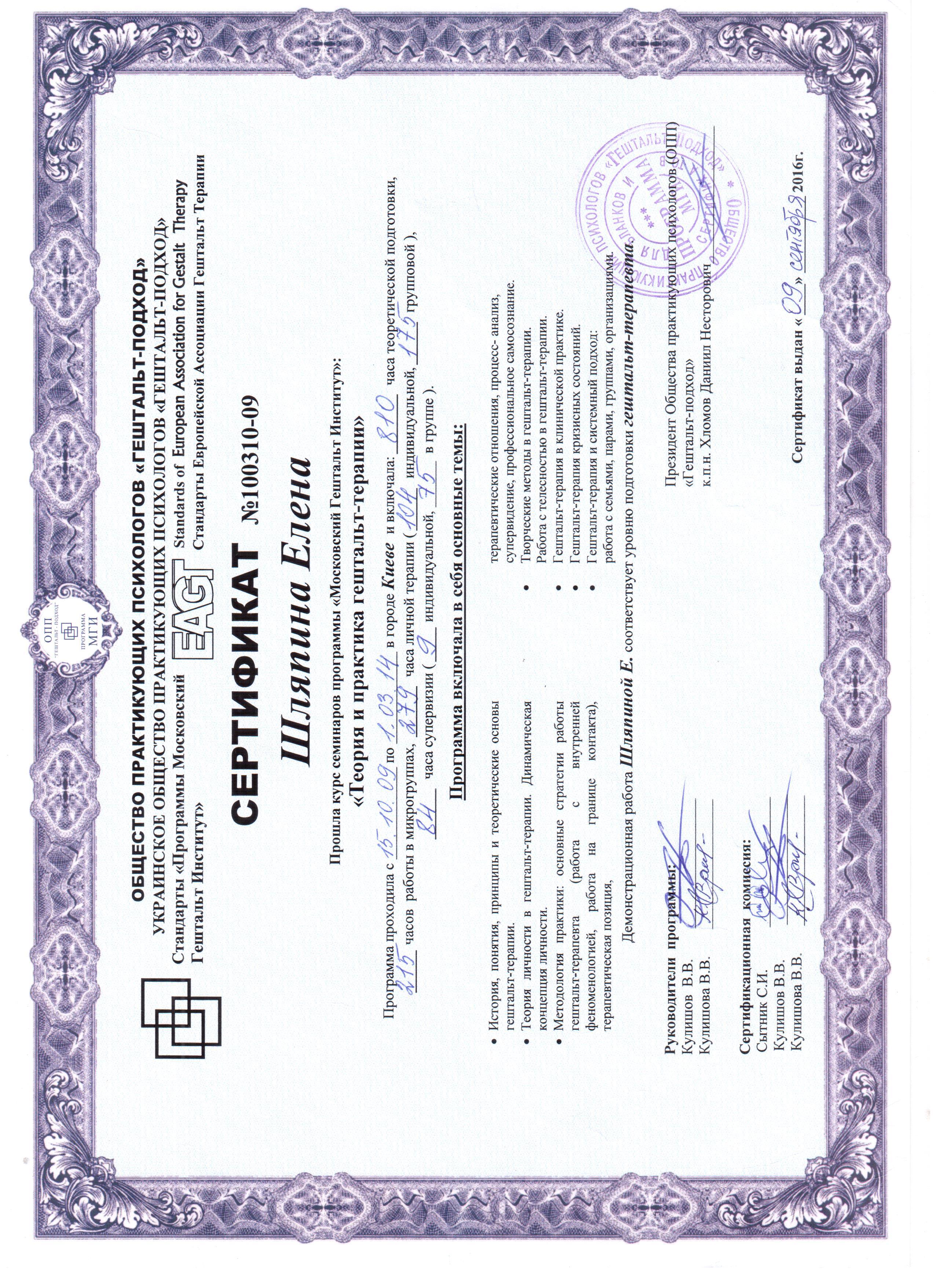 Сертификат 2 Лена Шл...