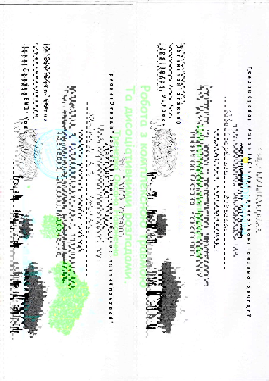 Сертификат 5 Лена Шл...