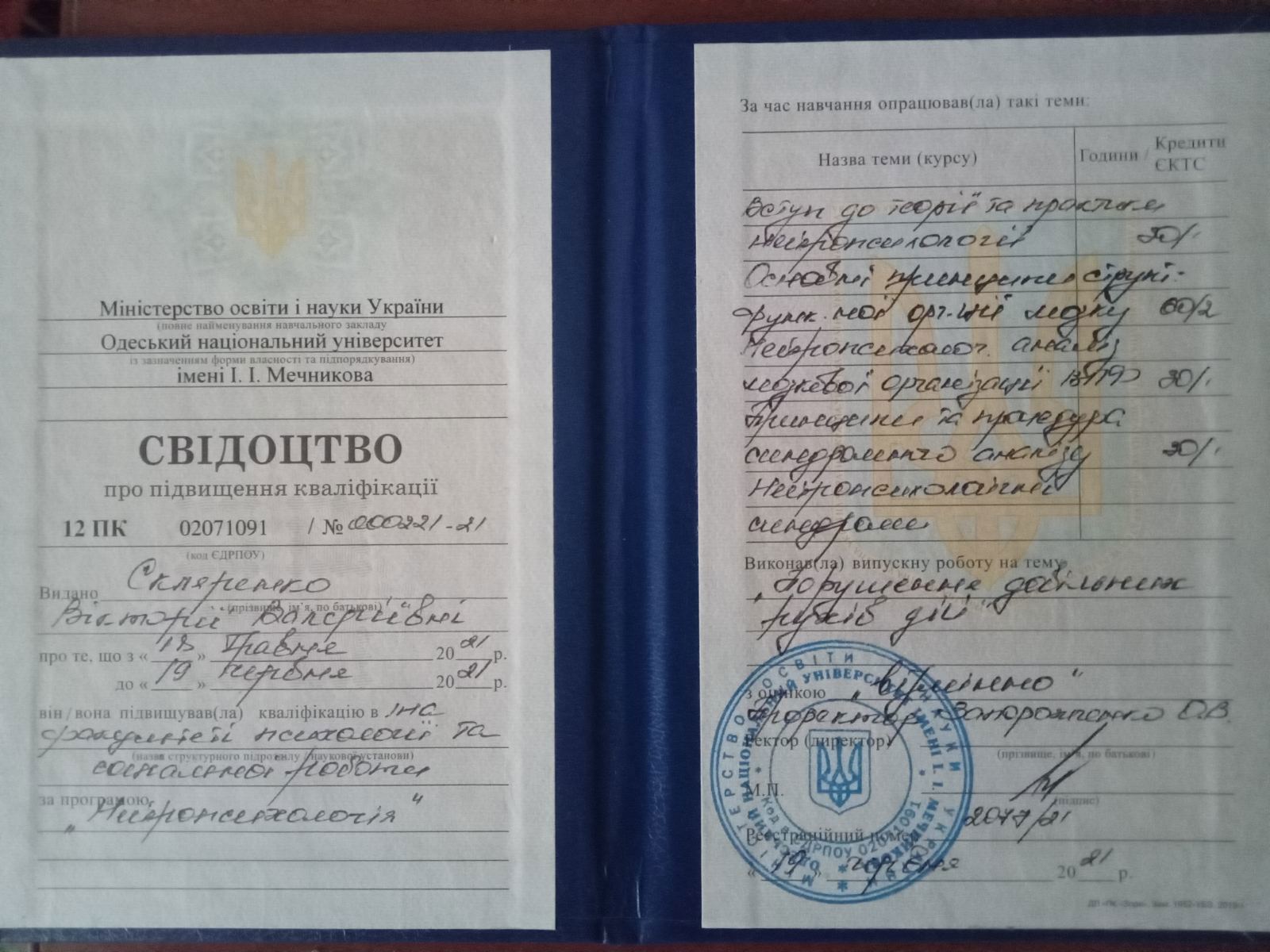 Сертификат 2 Виктория Ск...