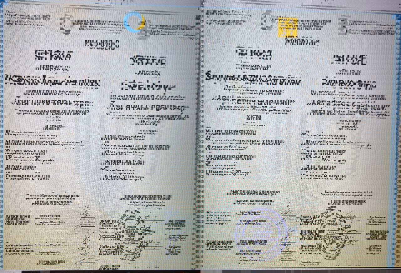 Сертификат 2 Марина По...