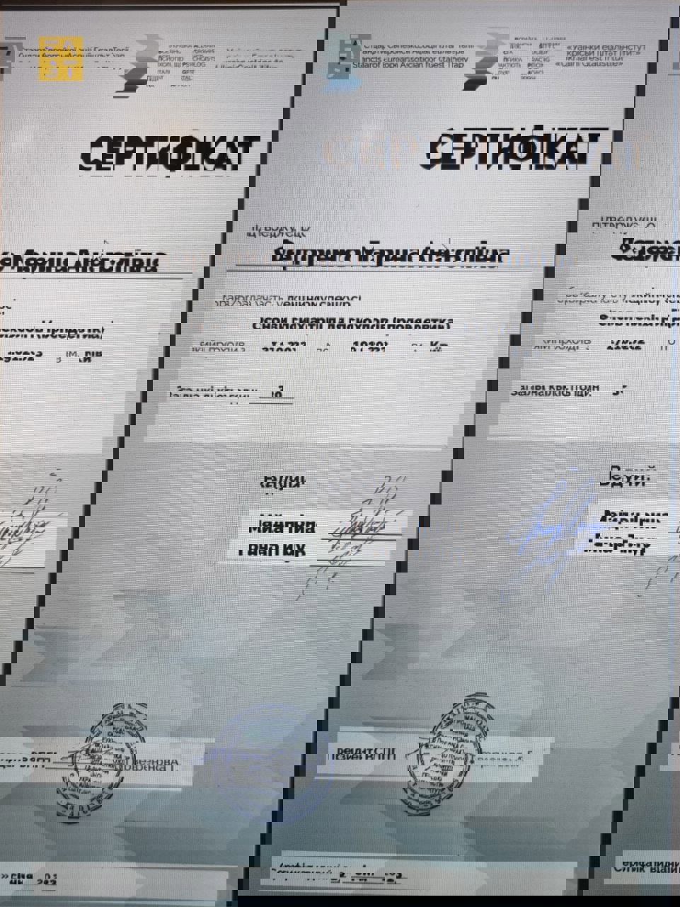 Сертификат 3 Марина По...