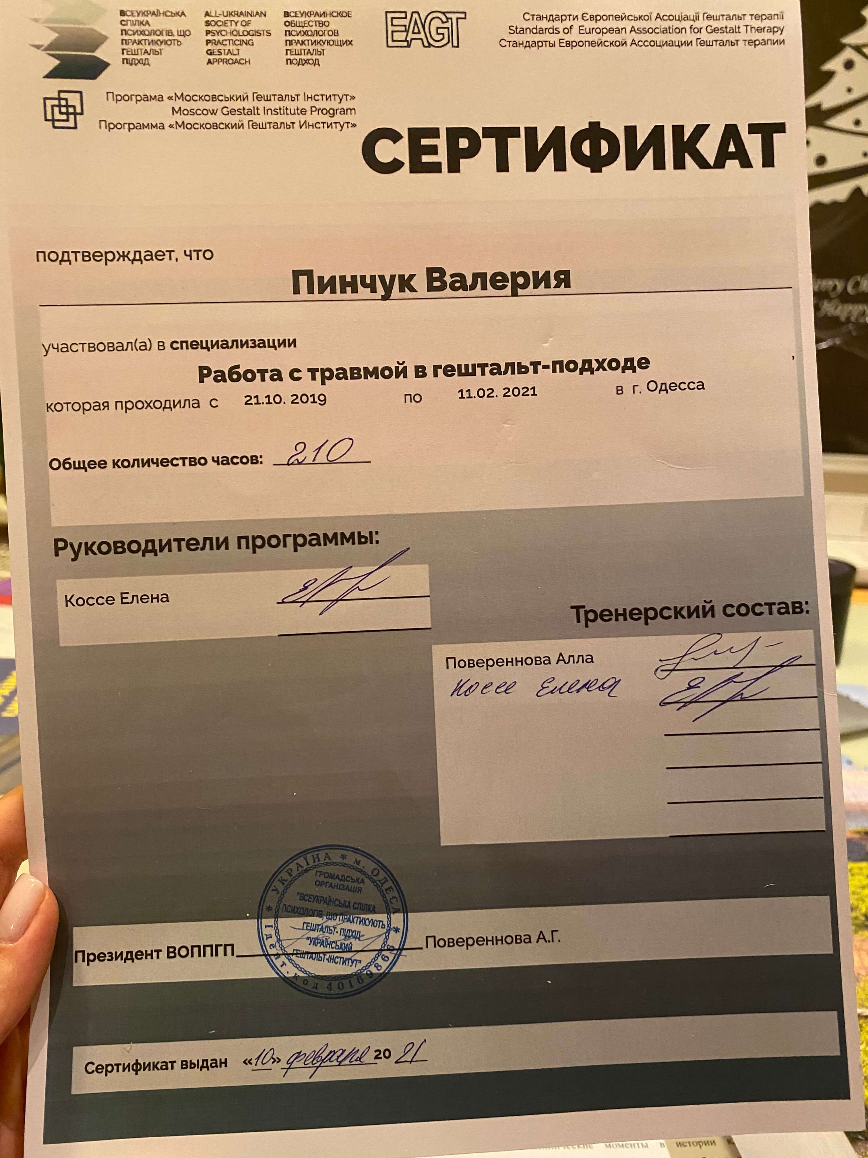 Сертификат 3 Валерия Пи...